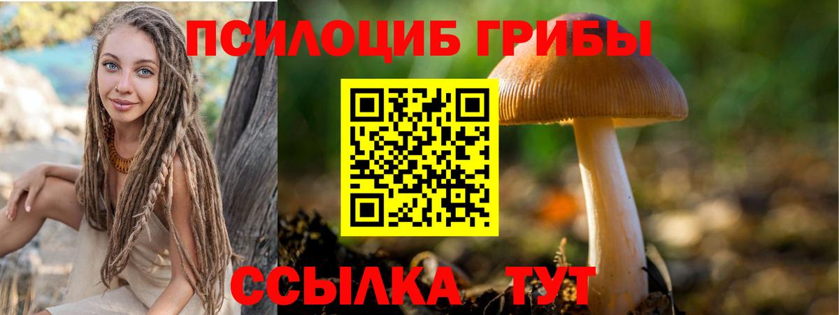 Галлюциногенные грибы Magic Shrooms  Галлюциногенные грибы ЛСД  Вход с VPN  Губаха 
